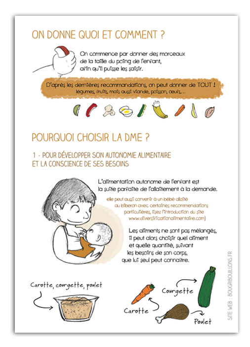 Diversification Menée par l'Enfant 2