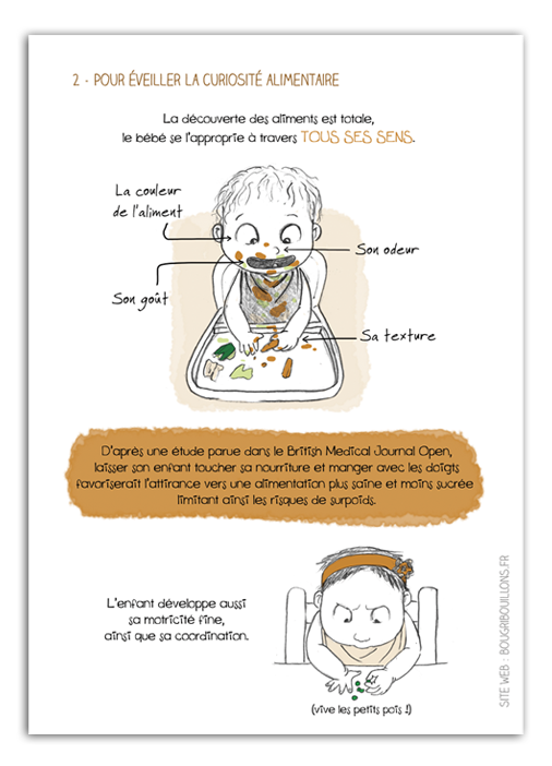 Diversification Menée par l'Enfant 4